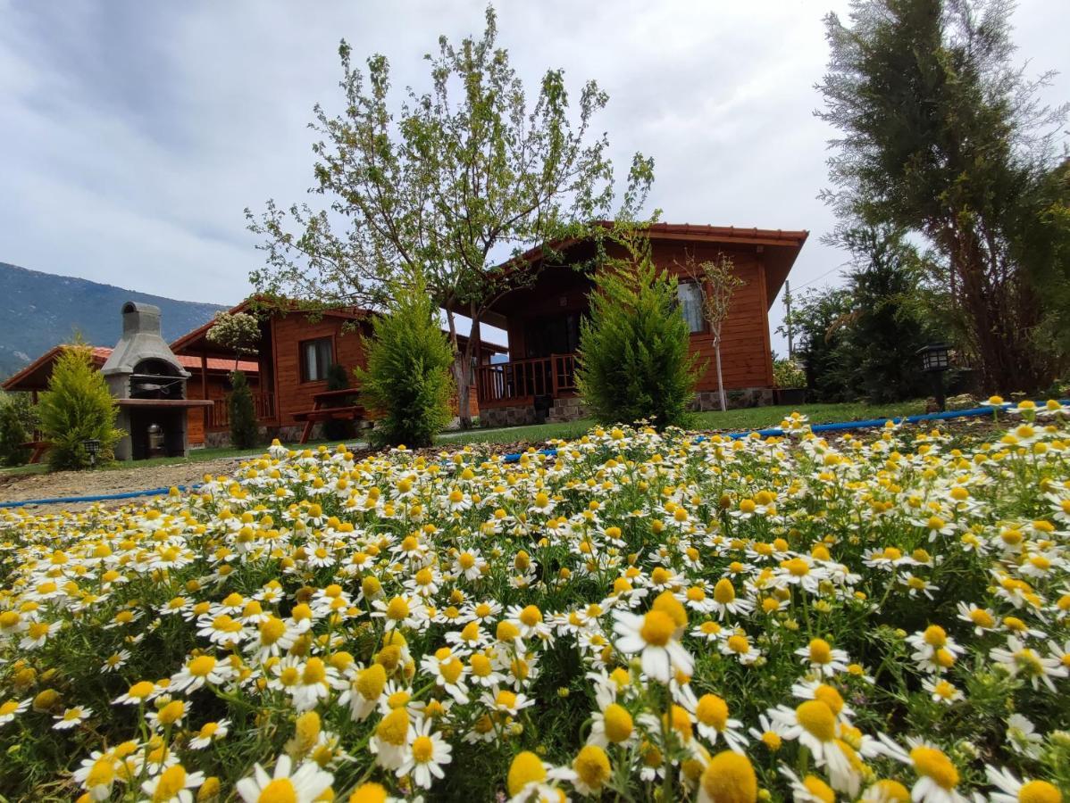 كاراوز Hurmalik Apart Evleri-Very Close To The Sea Large Garden Bungalow With Barbecue And Swing المظهر الخارجي الصورة